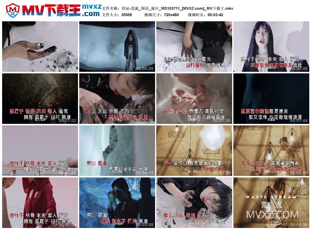 洪辰-荒流_国语_流行_MD103711